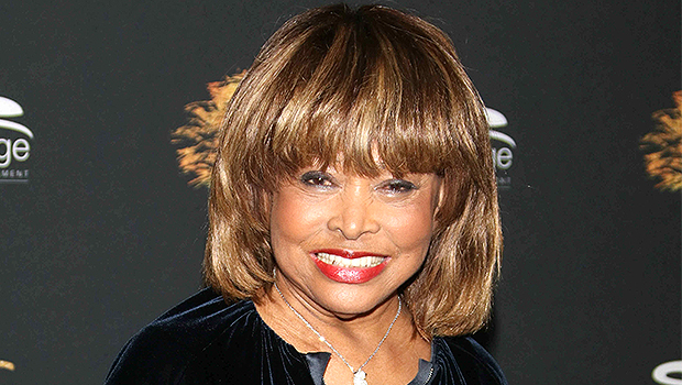 Tina Turner’s Children: Meet The Late Music Icon’s 4 Kids - HollywoodLife